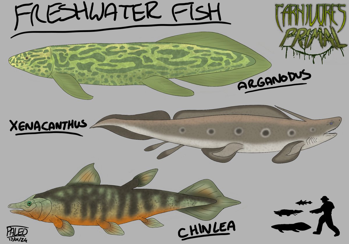 -Freshwater Fish Concept Sheet-

 Arganodus is based  mostly on the lungfish from WWD, The Xenacanthus is based on an old painting of Xenacanthus as well as some epaulette shark spots I added, and chinlea is based on stickleback fish

❤️🔁 Are incredibly appreciated