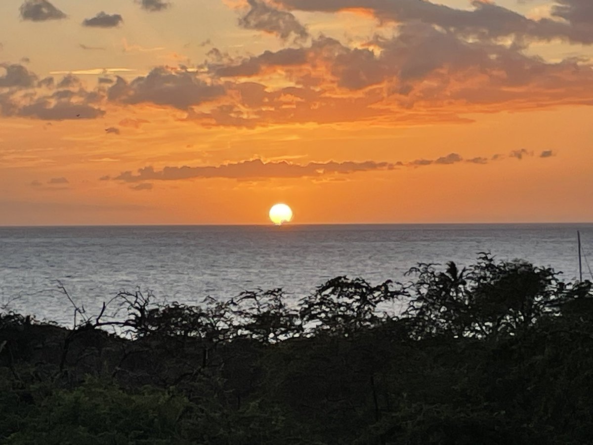 Week 1 was great 🏝️#MauiTime #ExperiencesNotStuff