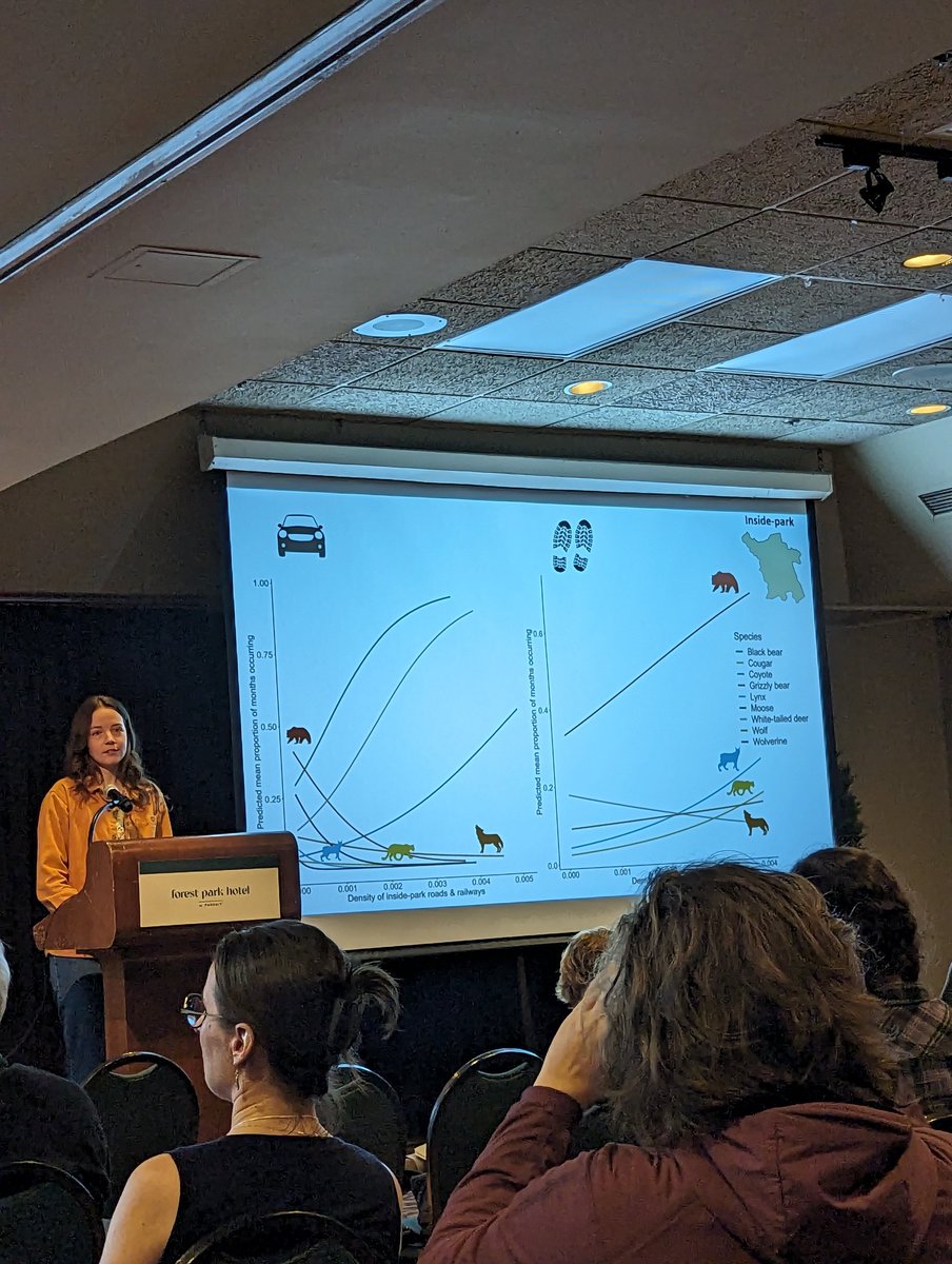 Kate Broadley (@kate_sciart) on Twitter photo Loved this fun and visually-engaing presentation by @beccamaysmith at <a href="/theACTWS/">AB Wildlife Society</a> conference!
Demonstrating differential spp responses to disturbance features in and outside parks - need to consider broader landscape context of protected areas Loved this fun and visually-engaing presentation by @beccamaysmith at <a href="/theACTWS/">AB Wildlife Society</a> conference!
Demonstrating differential spp responses to disturbance features in and outside parks - need to consider broader landscape context of protected areas