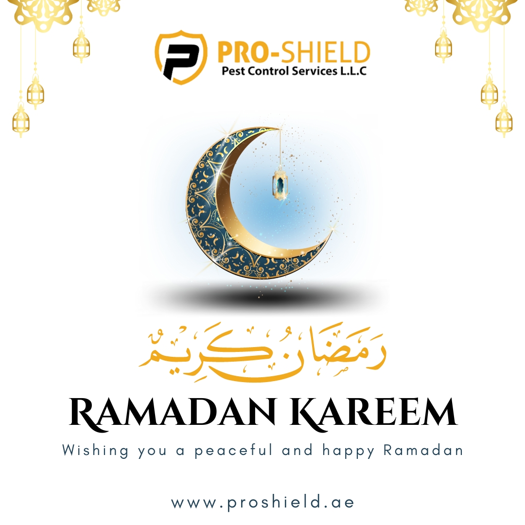 proshielduae's tweet photo. Wishing You a Peaceful &amp; Happy Ramadan Kareem.

#Ramadan #Dubai #ProShield #PestControlDubai https://t.co/ZdZNQboSHp