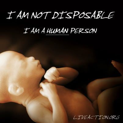 LifeNews.com (@lifenewshq) on Twitter photo 