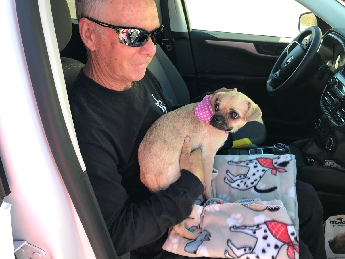 Daisy the Pug, was at risk of euthanasia at a high kill shelter in CA. What Daisy didn't know was that her Earth angels were coming to save her! Penny from TEAH rescued Daisy& Pilot Eddie quickly came to Daisy's aid, flying her to Puggle and Friends Rescue. Thank you so much!😇✈️