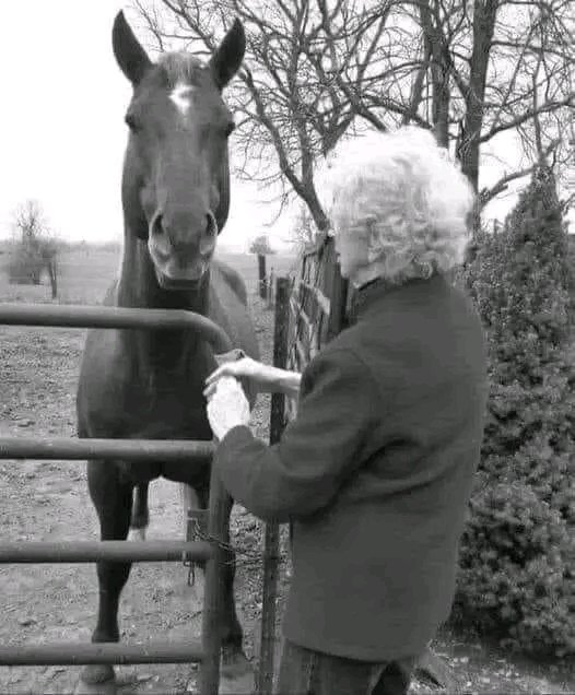 @Morbidful Just up the road from my home is a field with two horses in it. From a distance, each looks like every other horse. But if you stop your car or are walking by, you will notice something quite amazing. Looking into the eyes of one horse will disclose that he is blind. His owner…