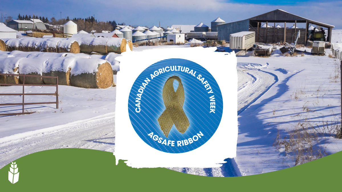 Today kicks off Canadian Agricultural Safety Week!

👋We are reminding #SaskAg to take the time to do each farm job safely. 

Share the virtual AgSafe Ribbon, tell your story, talk to your family & plan for #FarmSafetyEveryday: agsafetyweek.ca

#AgSafeCanada #CdnAg