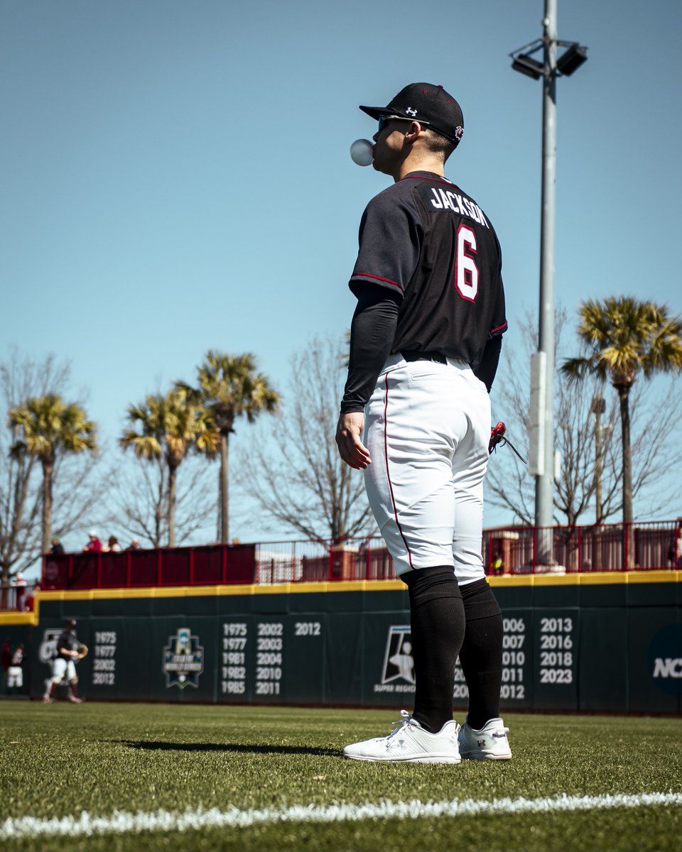 South Carolina Baseball tweet media