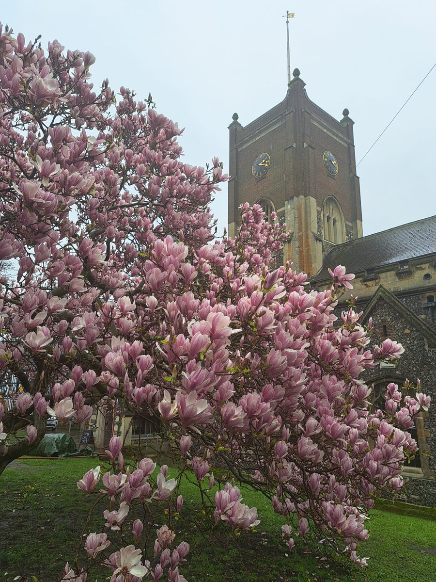 <a href="/AllSaintsK/">All Saints Church</a> - a splendid venue for our concert (Elijah, Sat 16th March). With Thames Sinfonia, soloists: Felix Gygli, <a href="/AnitaWatsonSop/">Anita Watson</a>, Catherine Hopper, and <a href="/TomElwin/">Tom Elwin</a>, and <a href="/colla_voce/">Andrew Griffiths</a> conducting, it should be a great night. Tickets ticketsource.co.uk/kingstonchoral…