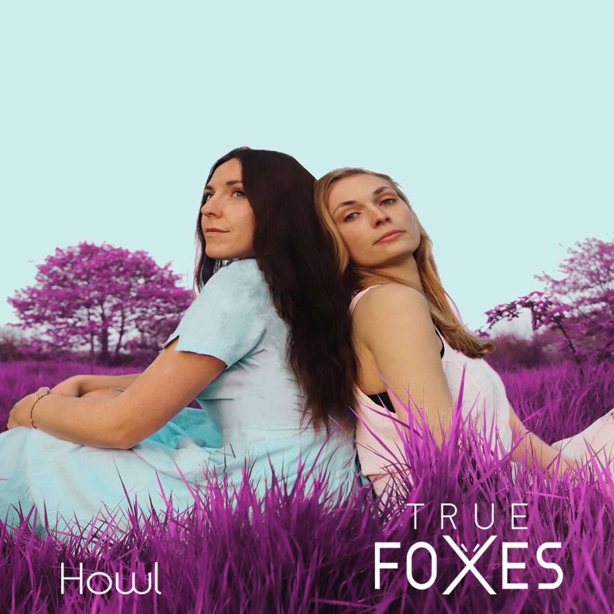 Recently released from @TrueFoxes 'HOWL' their debut album robsrawmusic.blogspot.com/2024/03/true-f…