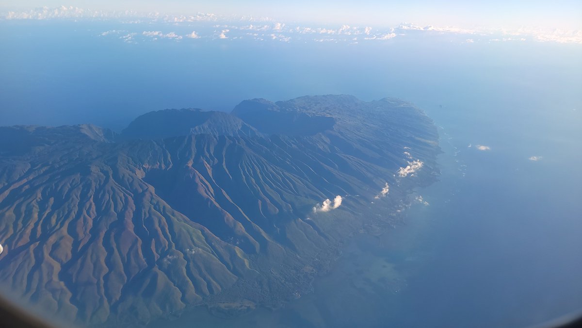 MissDJM | 🥰 Senpai Notices You 🥰 tweet media