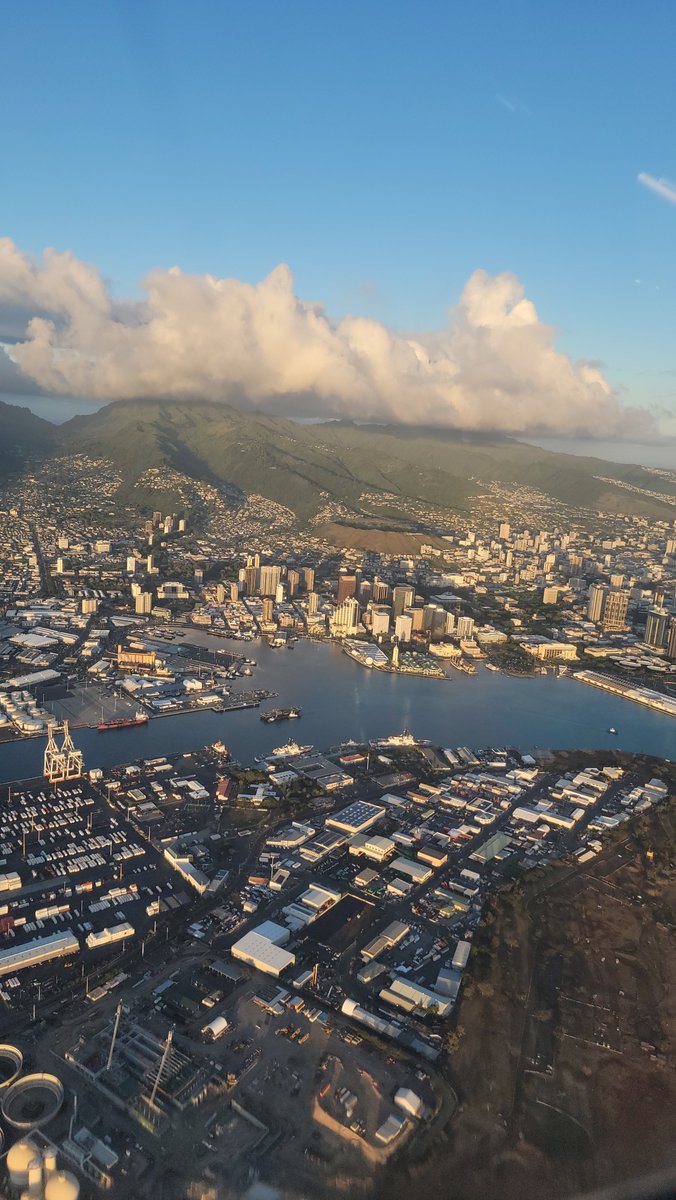 MissDJM | 🥰 Senpai Notices You 🥰 tweet media