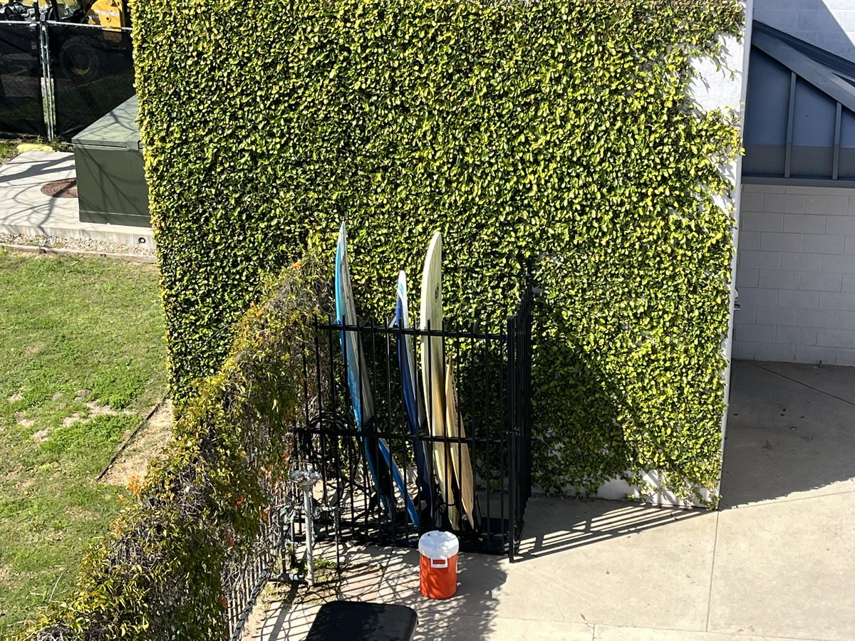 Stitch_Head's tweet photo. Yes, when you play baseball at UC Santa Barbara, you damn right they have a place to store your surf board while a game is going on
@UCSB_Baseball https://t.co/2ajy62R1aD