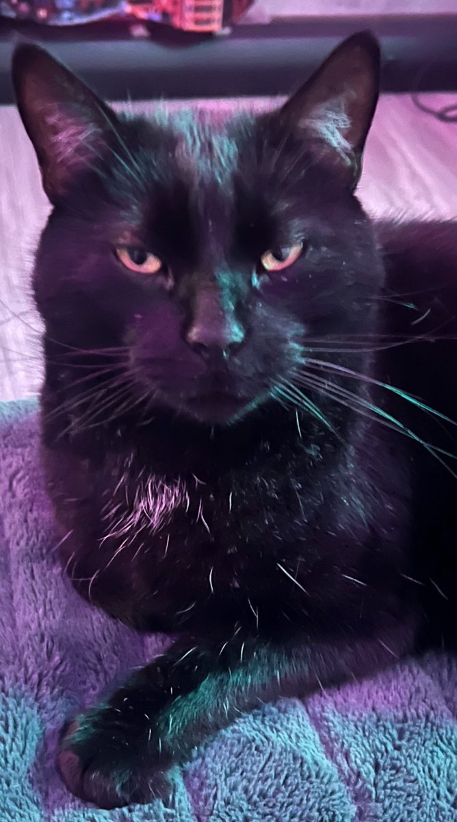 Alaix ⚡ tweet media