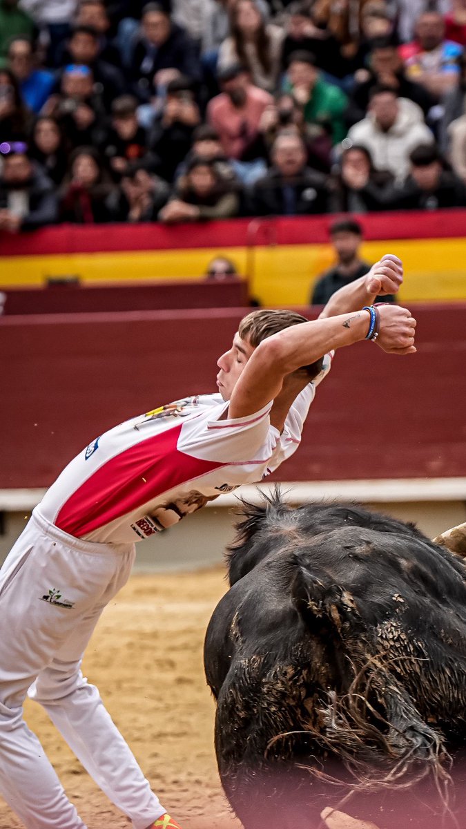 Offroadsite's tweet image. About today. @toroscastellon @toropasion