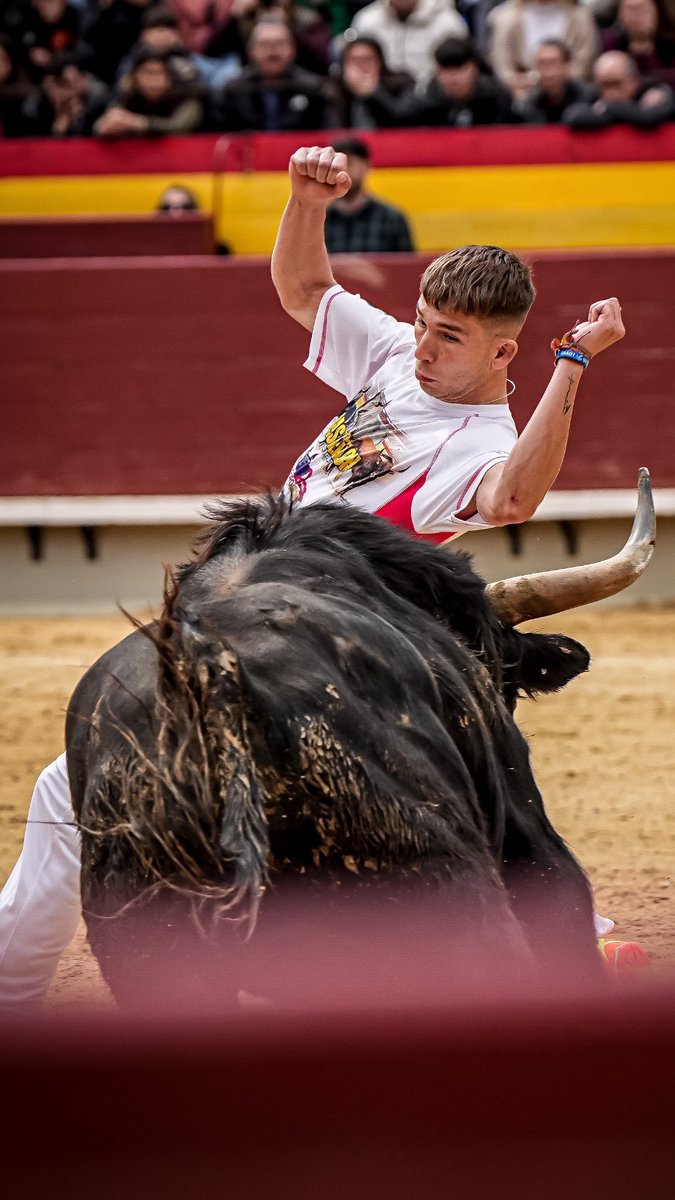 Offroadsite's tweet image. About today. @toroscastellon @toropasion