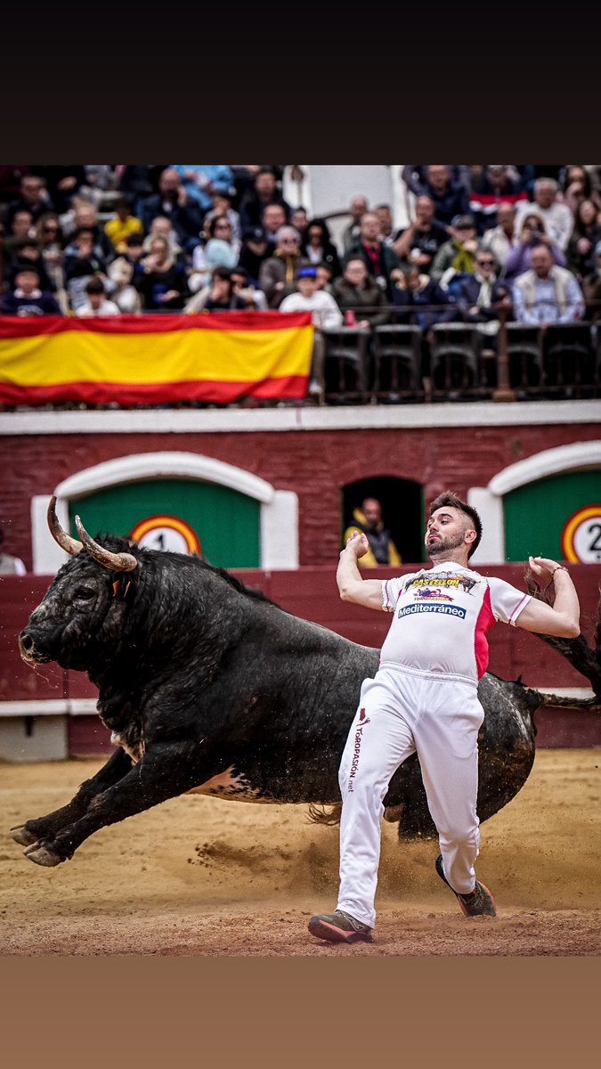 Offroadsite's tweet image. About today. @toroscastellon @toropasion