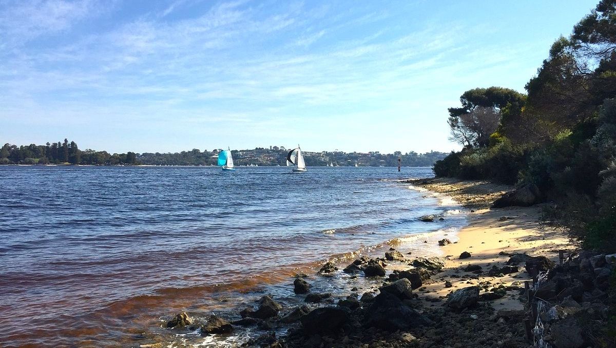 Grants available for Swan Canning foreshore restoration.

Projects eligible for funding include revegetation, planting, and weed control. Also, infrastructure that protects Swan Canning Riverpark's environmental, recreational, and cultural values.

ourwaparks.org.au/grants-availab…