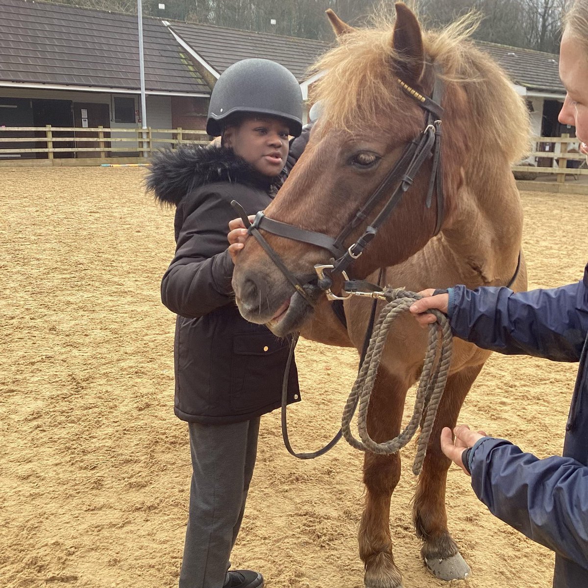 So wonderful for our students to be back with their equine friends <a href="/whridingschool/">warrenshallridingschool</a> .
Thank you so much for having us . Our sessions are very special .