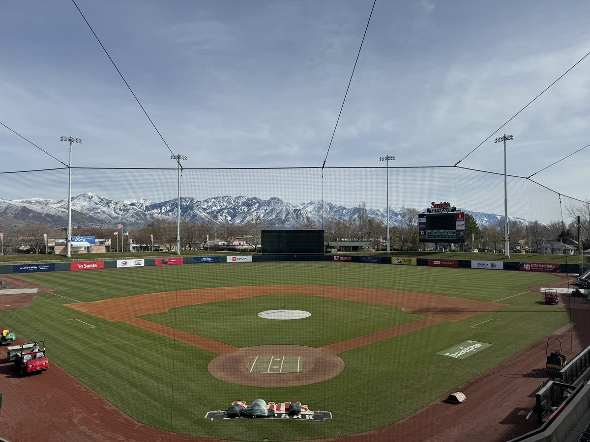 SLBees Groundscrew tweet media