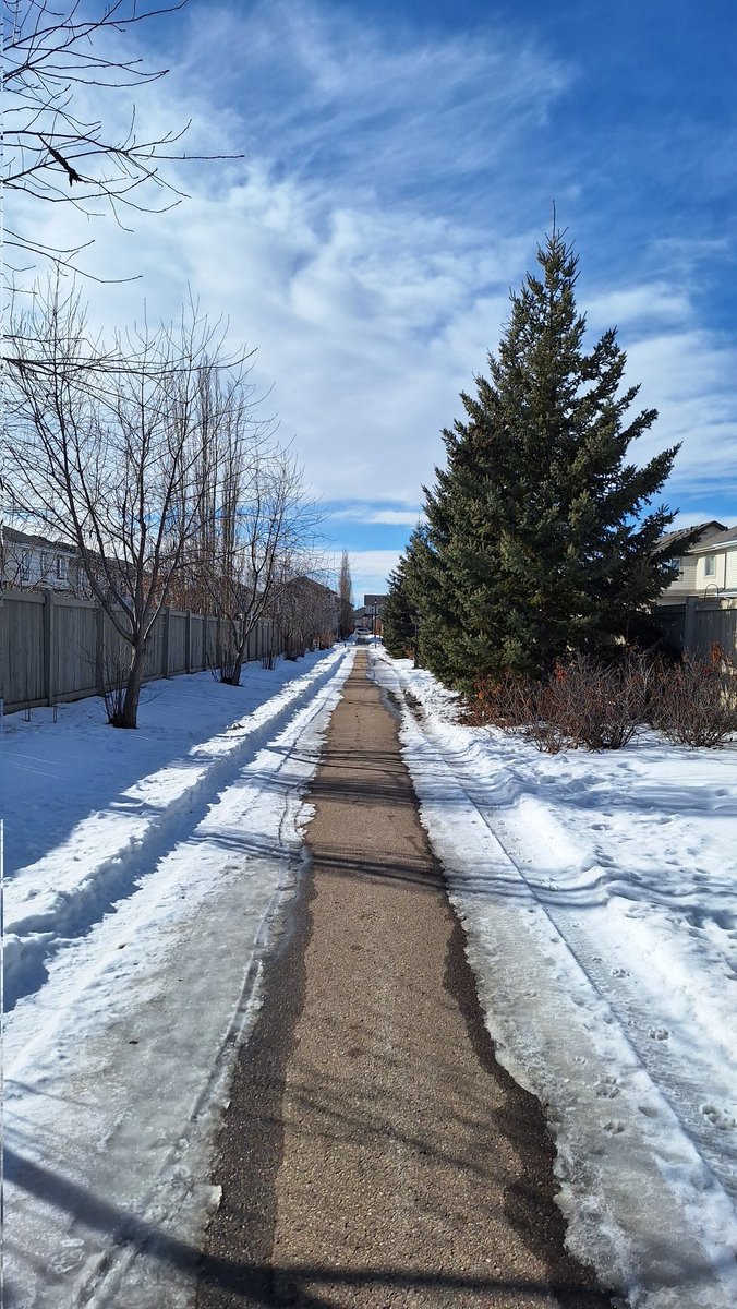 Maybe it's spring for real, this time? 🤔
#WinterWalks #yegWinter