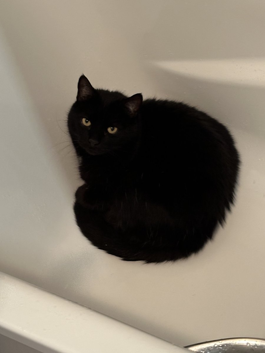 Alaix ⚡ tweet media