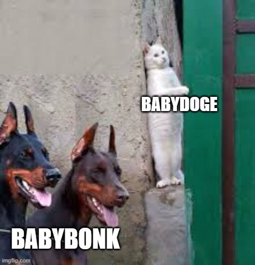 BabyBonkCoin's tweet photo. https://t.co/aSTxJ2e6pW