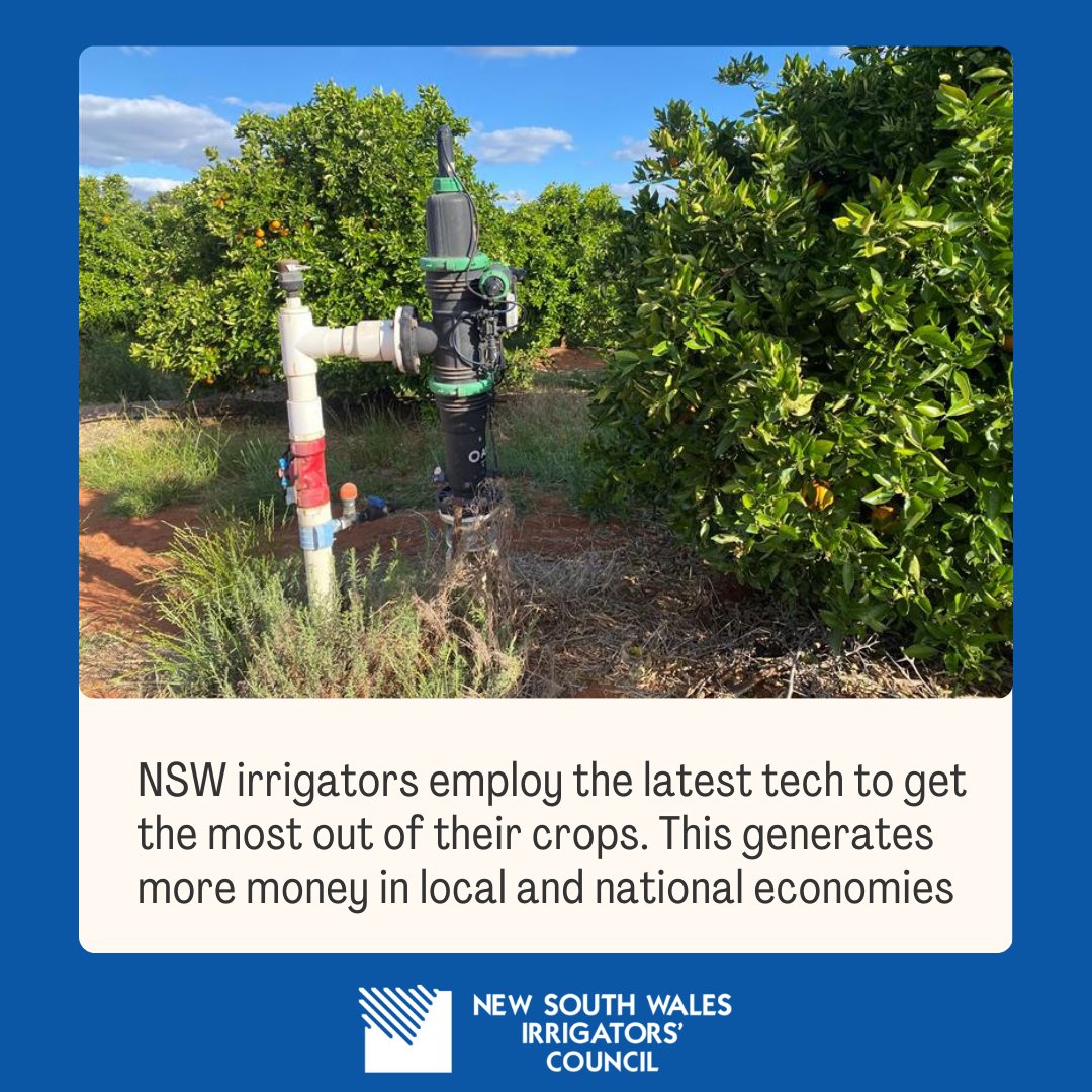 NSW irrigation farmers don’t just water crops. They employ the latest science and technology to get the most out of every drop and contribute billions of dollars to the local and national economy.