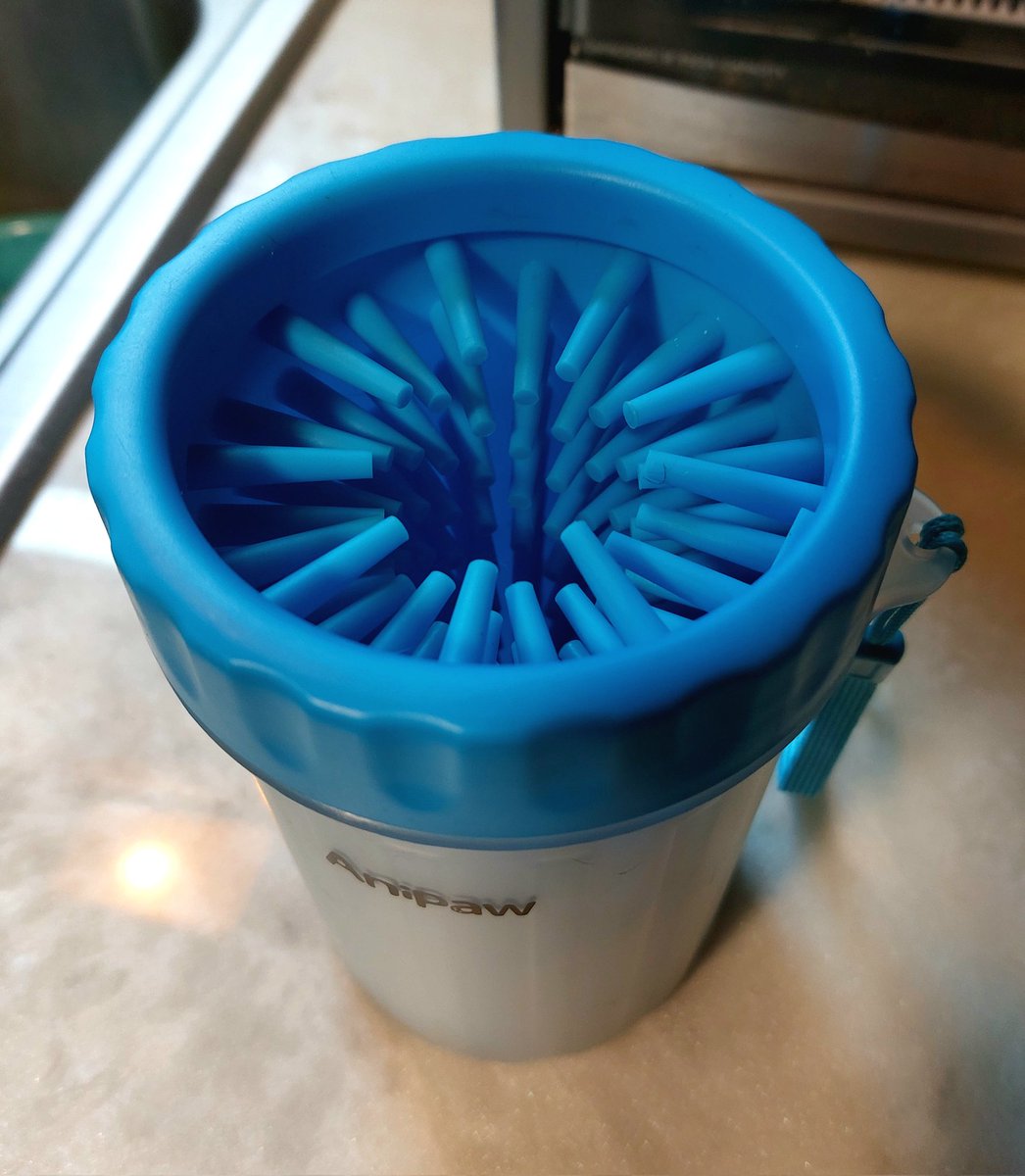 I don't have a Dune 2 sandworm popcorn bucket so I'm forced to eat out of  the thing I use to clean my dogs paws