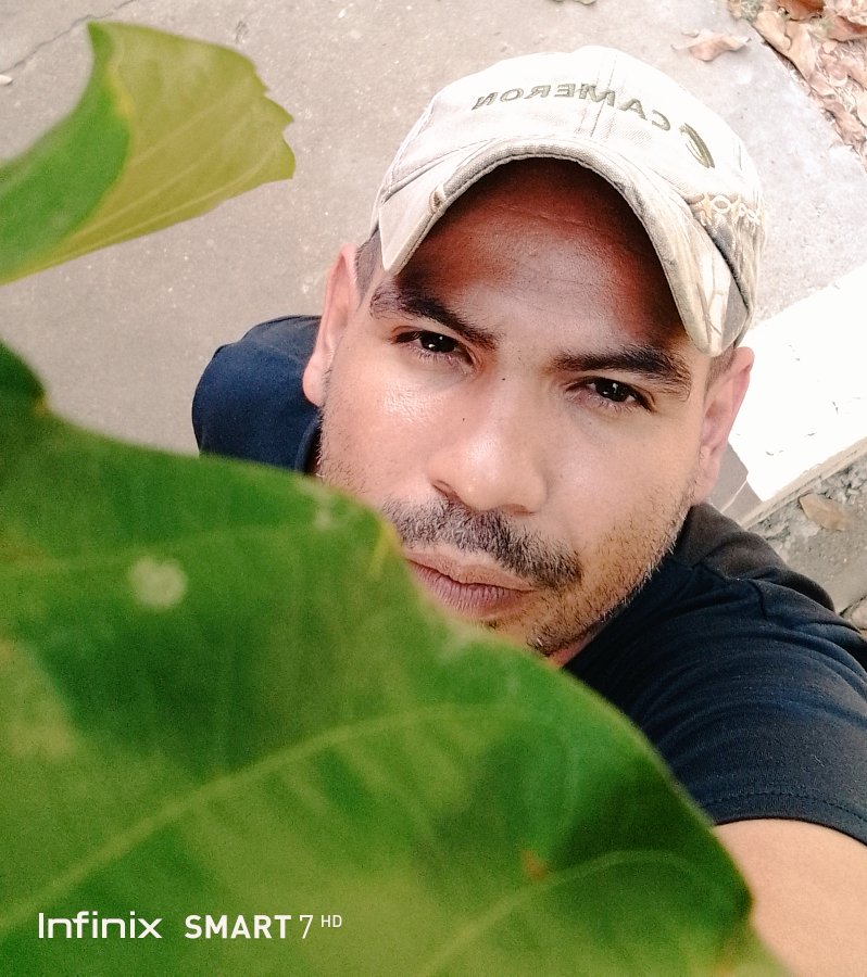 Feliz tarde