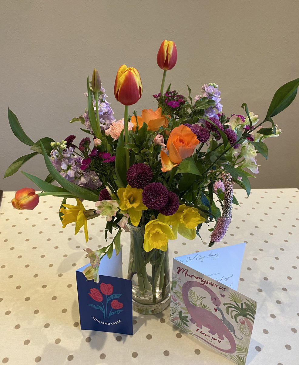 Dr Annie Topping tweet media