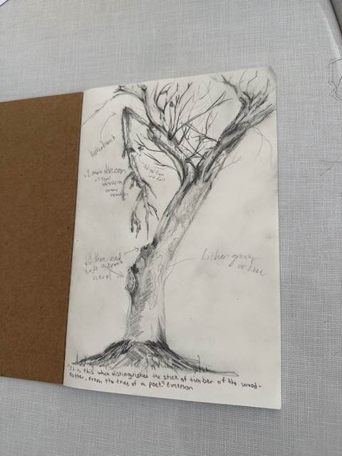 RFH_Humanities tweet media