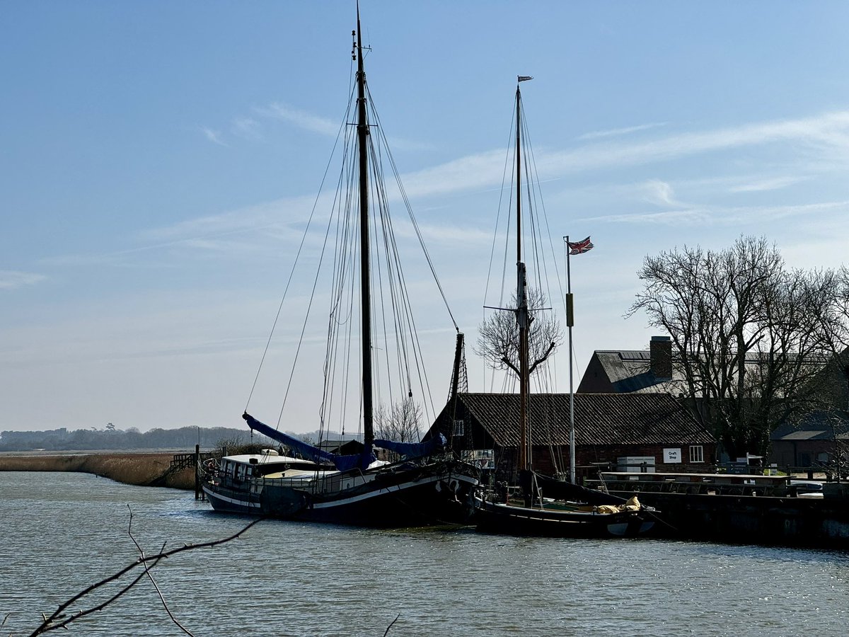 Now on Earth - Adventure Out tweet media