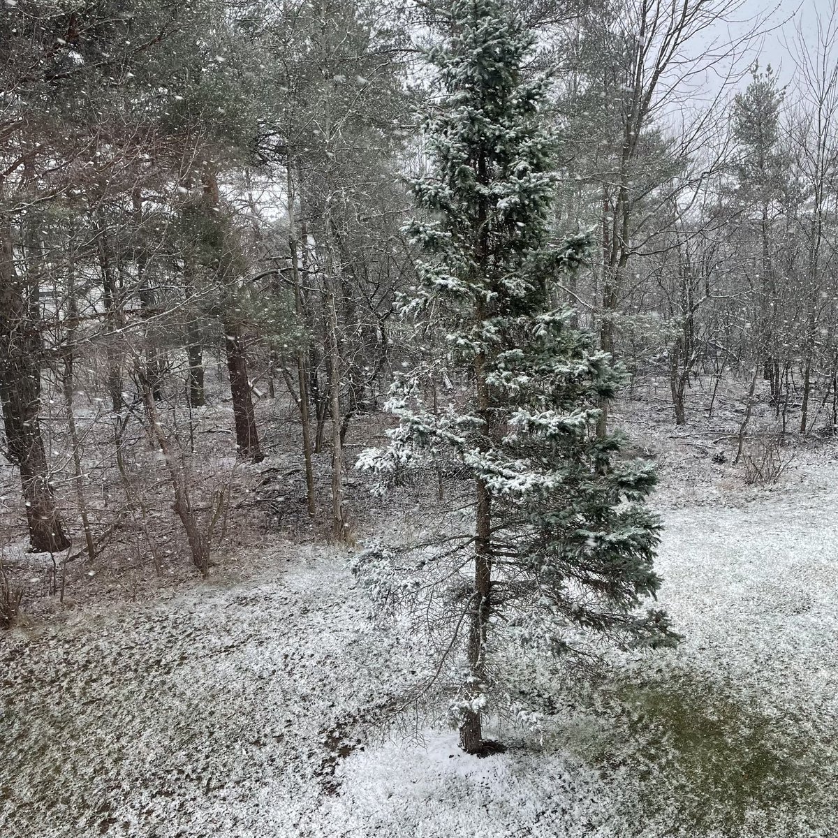 toastykenney's tweet image. 今日からバッファロー、夏時間始まったんですけどねー🤣😖
#DaylightSavingsTime #buffalo #snowinmarch #行きやねん #どないなってんねん