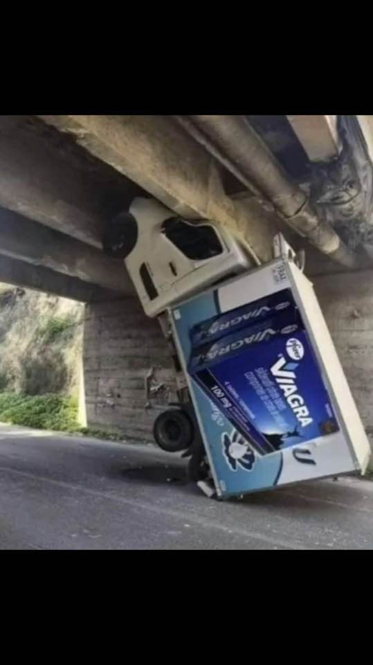 Paolo Dune tweet media