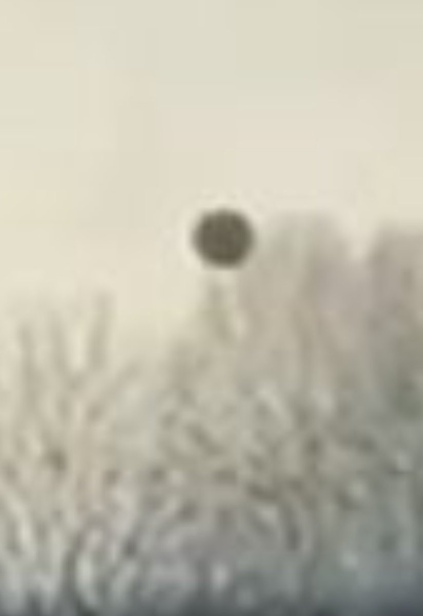 Josh Cliff tweet media