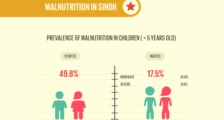 Just for the growth of these few kids from a couple of particular families, we stripped hundreds of millions of children of Pakistan from basic necessities. -50% of kids under 5 in Sindh are stunted -41% are under weight, 11% wasted swamps of physical and cognitive deprivation