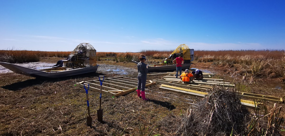 Great job by our coastal systems ecology lab at LSU in deploying our first of three carbon flux towers in the Atchafalaya Bay delta from Wax Lake Delta to Fourleague Bay to determine blue carbon emissions along salinity gradient. <a href="/LSUResearch/">LSU Research</a> <a href="/LSUCSS/">CSS</a>