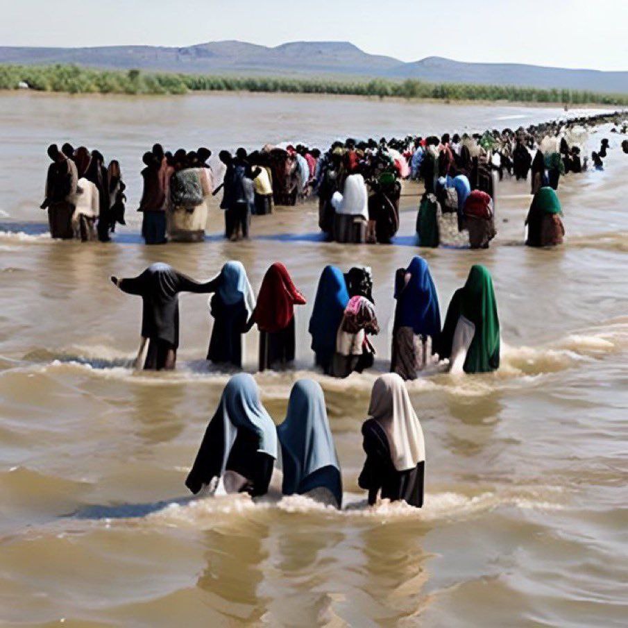 jowens8614's tweet image. Every last #IllegalAlien! 
#ForeignInvaders
#Trump2024