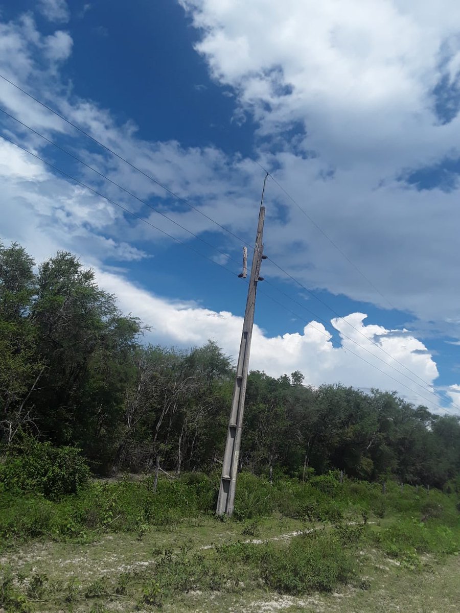 ANDEOficial's tweet photo. ⚡Mejoramiento de la calidad del servicio eléctrico en el Chaco paraguayo 

Al mediodía de hoy, domingo 10 de marzo del año en curso, culminó con éxito el mantenimiento de una línea de Media Tensión que abastece de energía eléctrica a las zonas de Puerto Pinasco, Colonia Ceibo y La Patria del Chaco paraguayo.

Se cambiaron un total de 103 crucetas a lo largo de 150 km de extensión de la mencionada línea, lo que contribuye sustancialmente a mejorar la calidad del servicio de energía eléctrica en las mencionadas zonas.

Estos trabajos fueron ejecutados por funcionarios de ANDE y empresas contratistas, bajo la supervisión y coordinación del Departamento de Alto Paraguay, Sección de Distribución Fuerte Olimpo.

#GobiernoDelParaguay