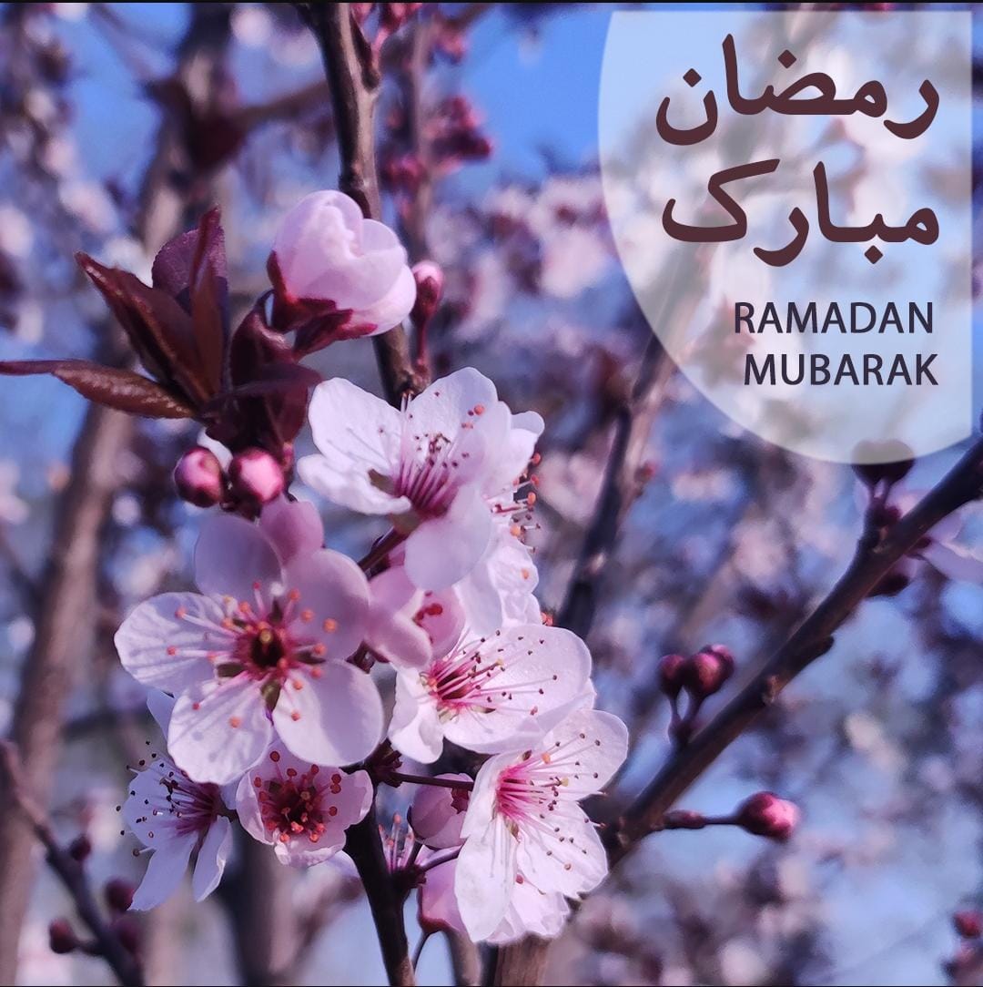 DuaInvocation's tweet image.