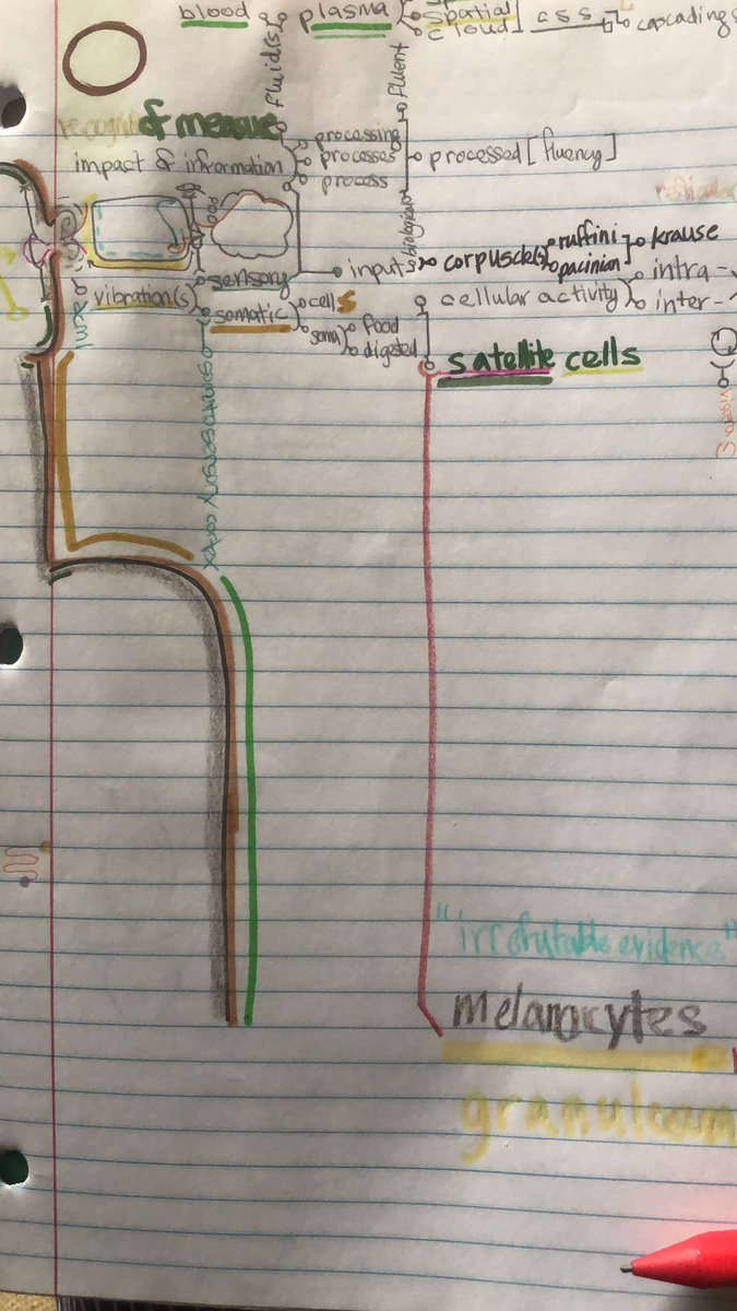 akashicmelanin's tweet image. ✍🏾 #doingthework looks differently for each 🧠 #creativeprocesses 💭