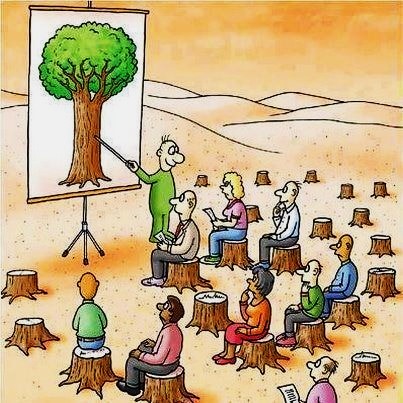 Night thoughts I hope that in a few years' time our climate conferences will not look like this due to missed positive decisions. Just for the record.💚🌱☘️🌿🌳🌲🍀💚