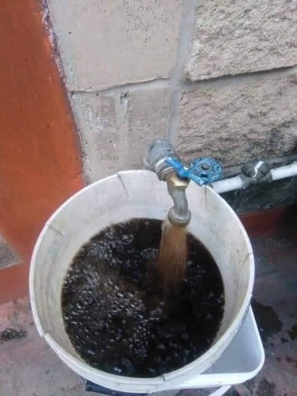 alcrsk's tweet image. obrigado prefeito, mandando coca cola direto da mangueira 🙏