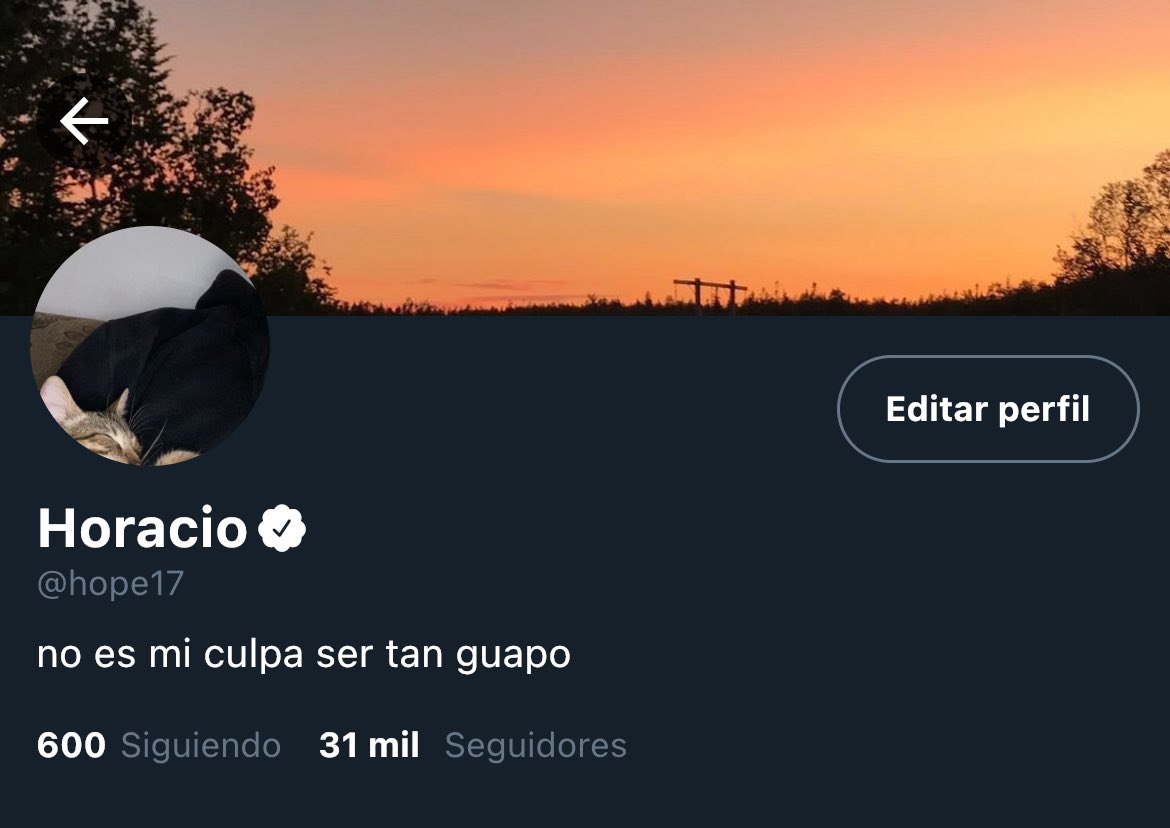 val_truski's tweet image. perfiles de Horacio y Volkov