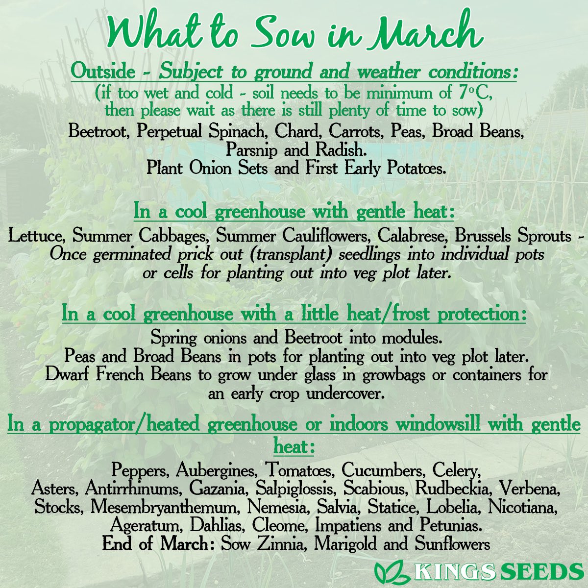 Looking to start sowing seeds this month?
Here’s some ideas of what vegetable and flower seeds can be sown 🌱
#gardening #whattosow #kitchengarden #gardennews  #garden #gardeninglife #gardenlife #growyourownflowers #growyourownuk #growyourownfood #allotmenttips #allotmentnewbies