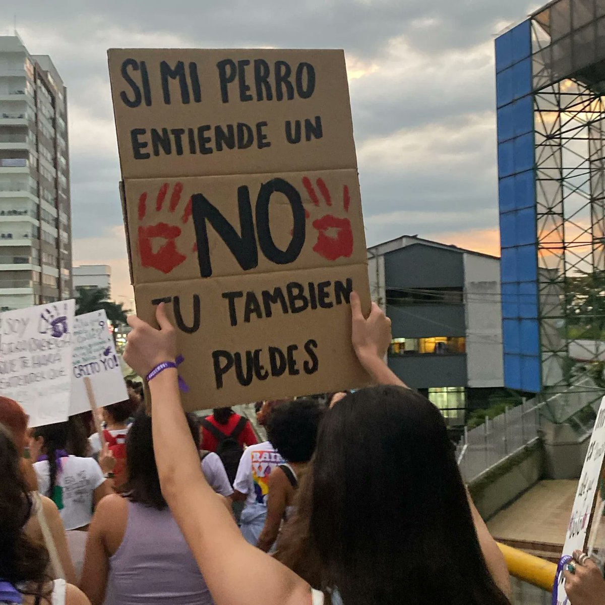 FEU Colombia. tweet media