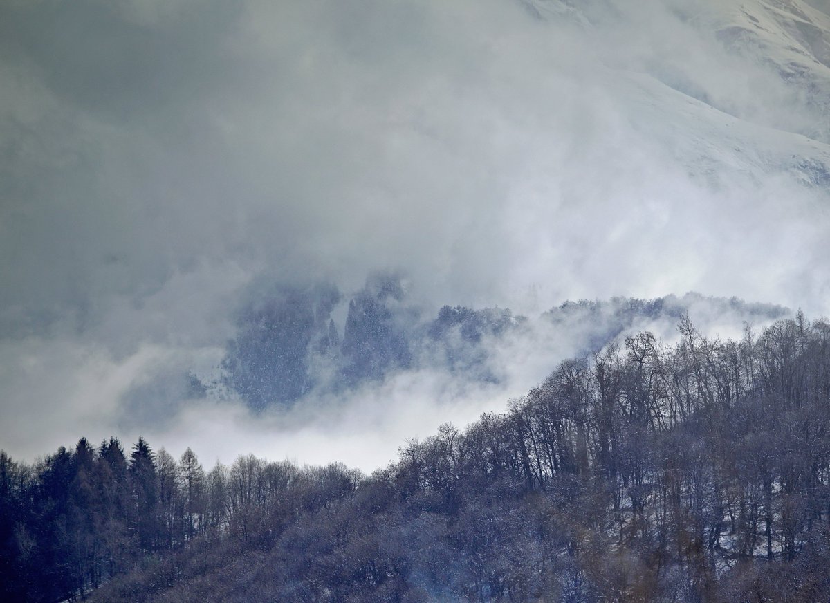 - neve di marzo -
oggi con il fantastico Sigma 70-200 f2.8 DG SN OS Sports di Sigma Foto Italia
@sigma_japan
<a href="/SIGMA_sgv/">SIGMA</a> <a href="/SIGMA_foto/">SIGMA (Deutschland)</a>
<a href="/SigmaFrance/">Sigma France</a>
<a href="/SigmaImagingUK/">SIGMA UK</a> 
<a href="/foto_sigma/">SIGMA Italia</a> <a href="/SIGMA_foto/">SIGMA (Deutschland)</a>