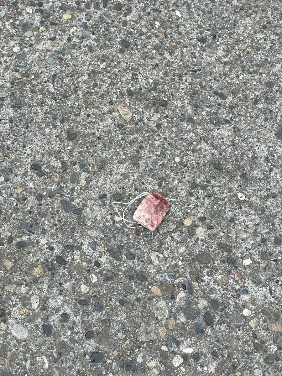 Shaakeal_Oneil's tweet photo. @fox13seattle Take a walk down Stone Ave N and around @EagleStaffMS and this is what you’ll find. Toxic sex trade trash, pimp garbage, used condoms, blood soaked pads/tampons. Where is Cathy Moore? How is she addressing the sex trade that treats #LictonSprings like a landfill? https://t.co/HPLFKY4RdJ
