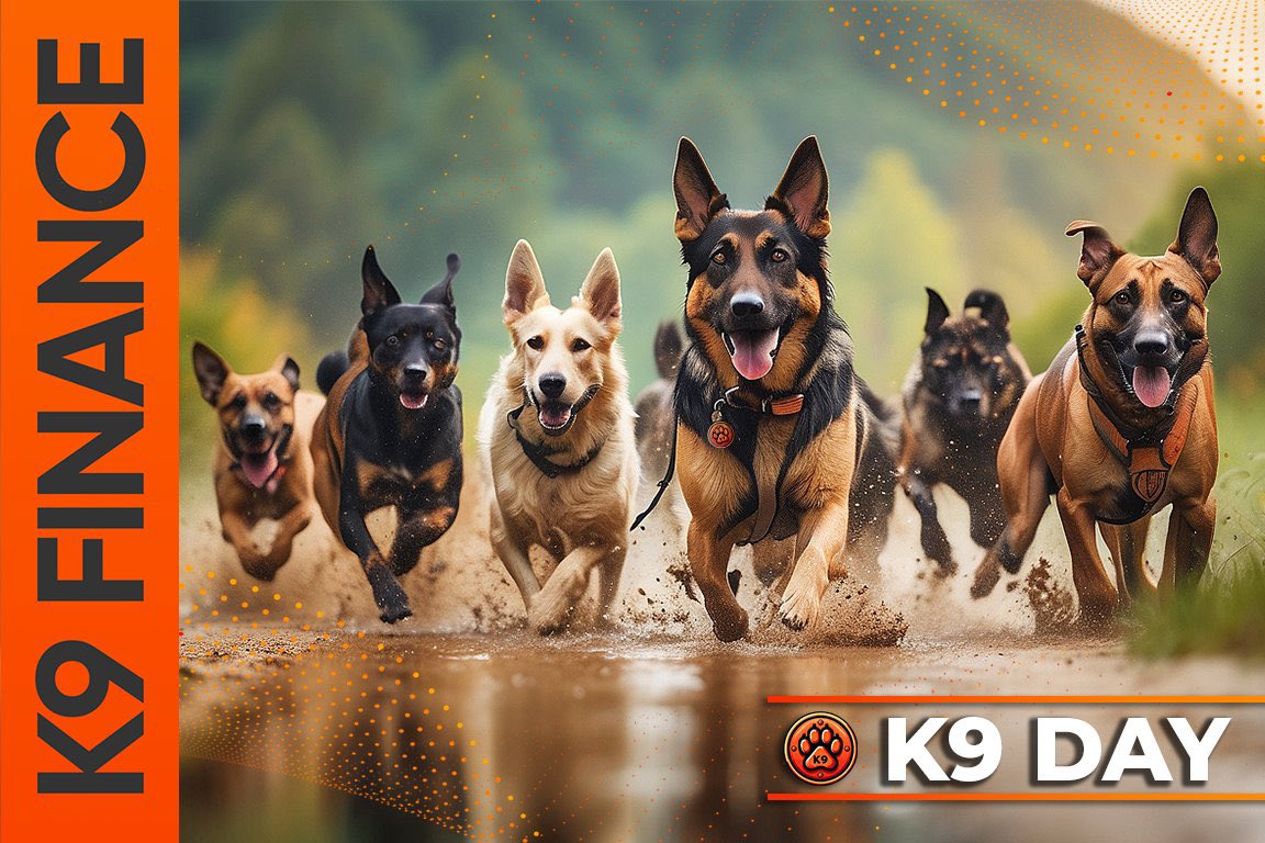 ojhahari78's tweet photo. Everyone was asking for 1000x gem which is under 30Million , 

Here I got the one - @K9finance 
Official @shiba partner 
#summerofshibarium 
#bull 
#1000xGems #eth #diamondhand https://t.co/mUuVrNsAiT