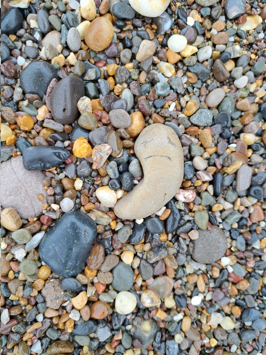 My find of the day.
I call it the sad worm.
#Kilnsea
#Pebbleoftheday
@PoetDeanwilson6 
@GongFuPoets