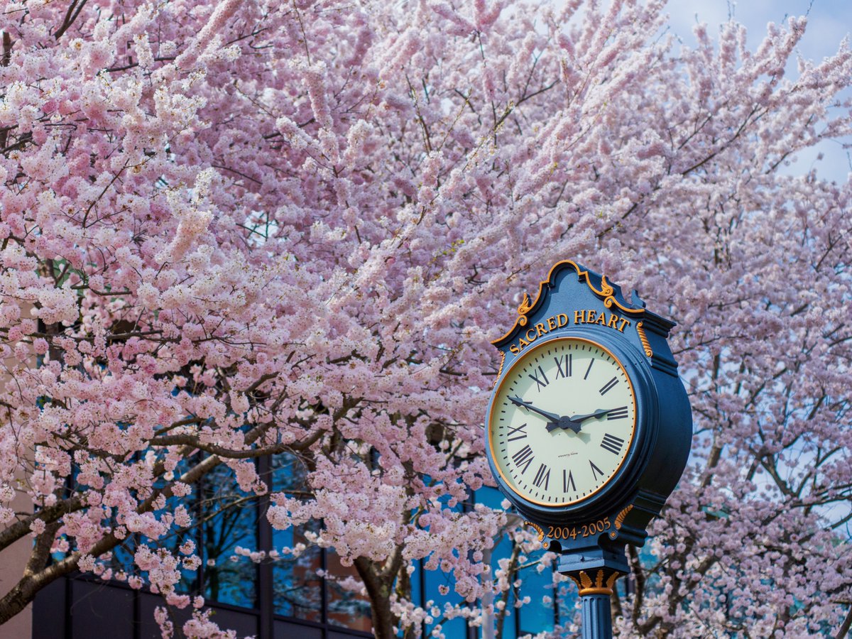 It's time to spring forward 🕰 We may have lost an hour of sleep, but it's a sign that our campus will soon start to bloom! 🌺 #WeAreSHU #DaylightSavings