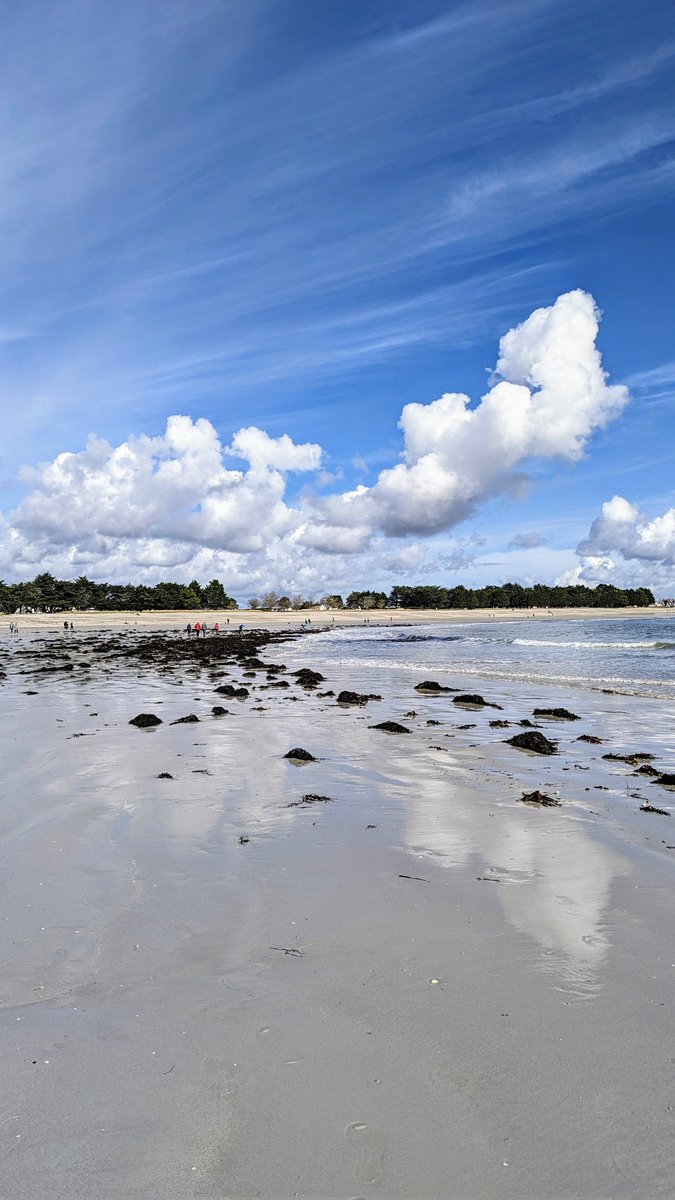 Ce matin à l'île-Tudy 😀 

#finistere #grandesmarées #bretagne #bzh #paysbigouden #breizh #MagnifiqueBretagne #iletudy